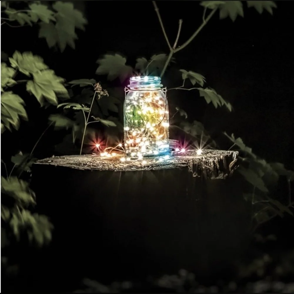 Feit LED Fairy String Lights Warm White -or- Multi-Colored 30ft 100 Lights